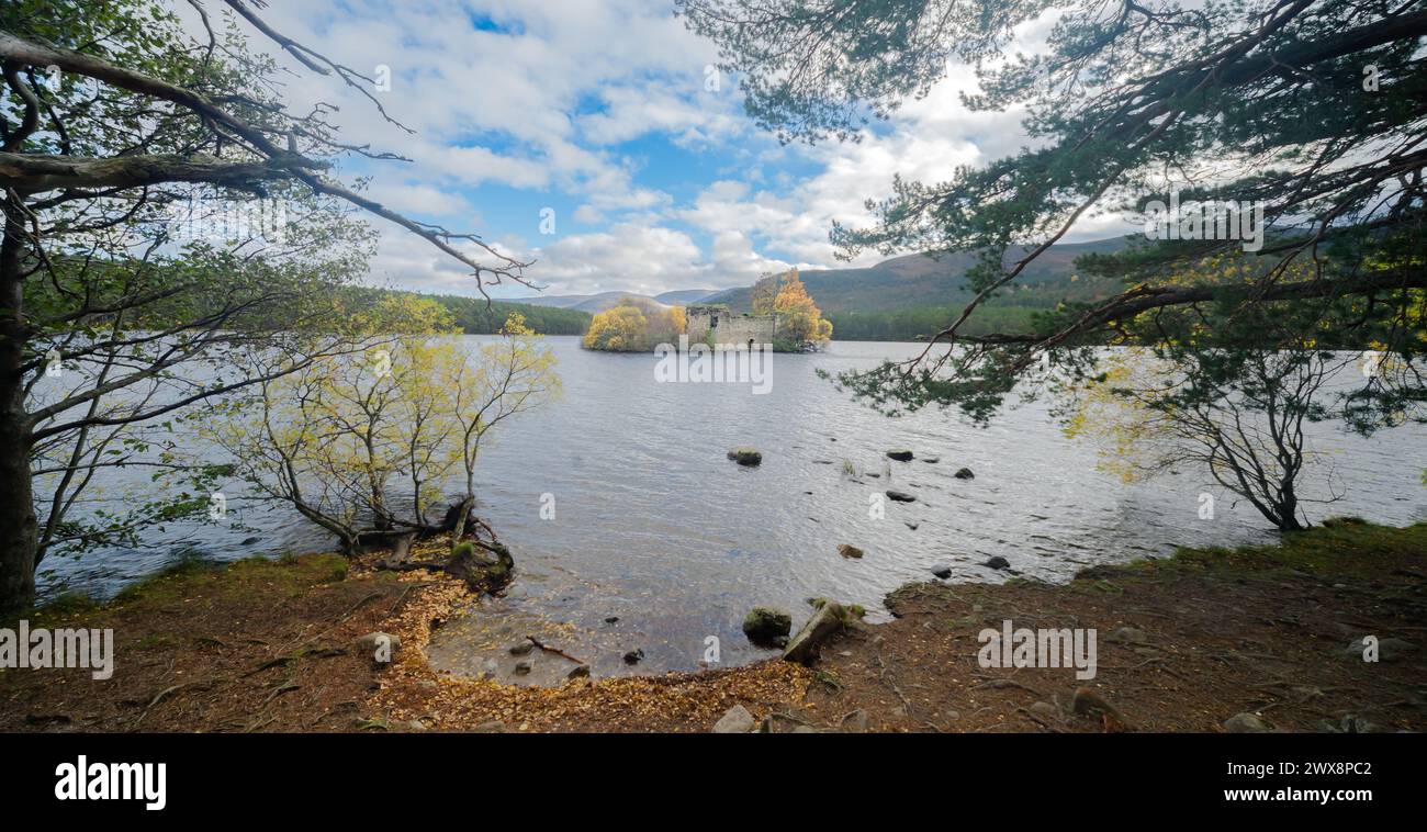 Loch an Eilein castle photographed from the shore through the tree line. Stock Photo