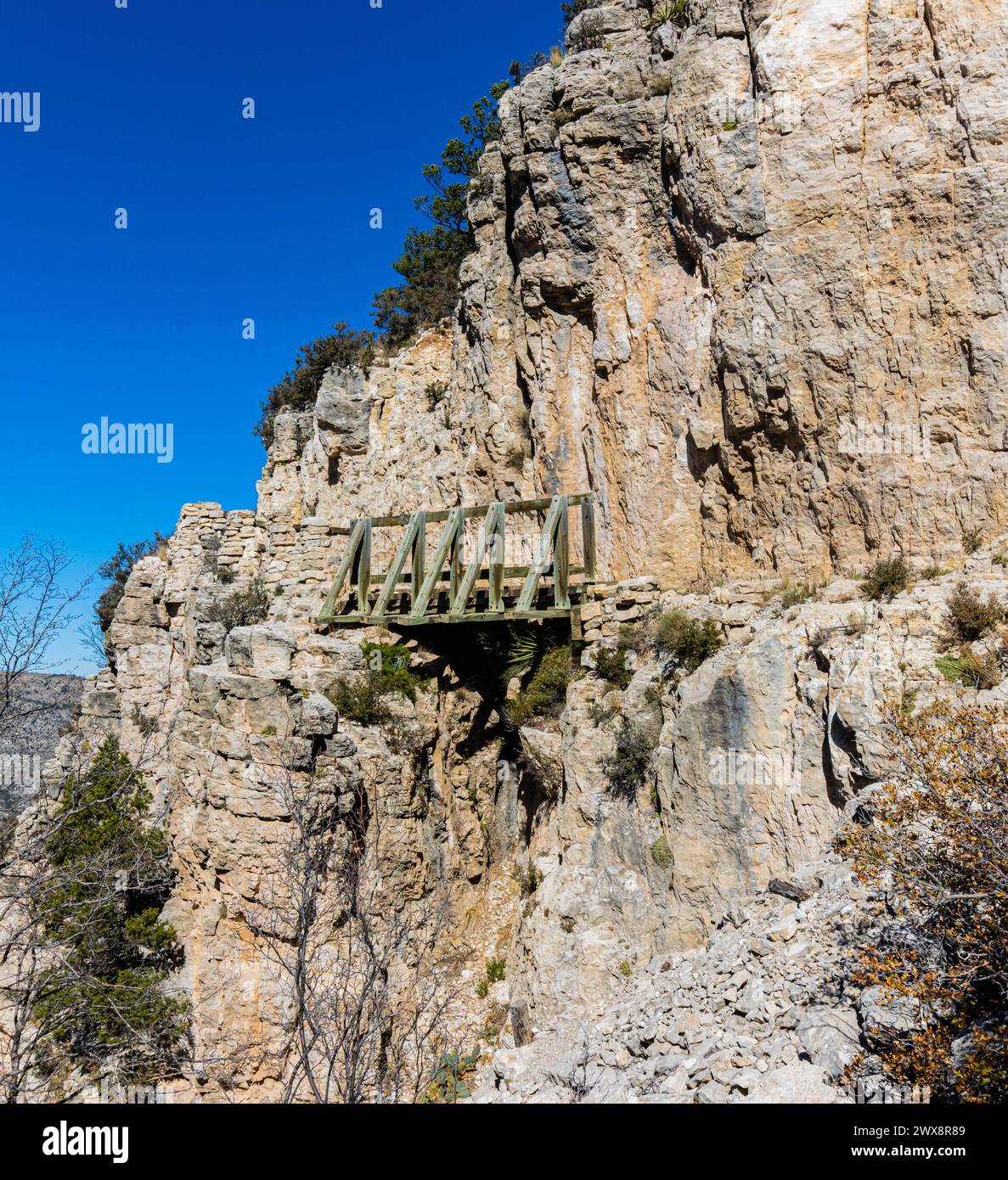Wooden Bridge on Cliff Ledge, Guadalupe Peak Trail, Guadalupe Mountains National Park, Texas, USA Stock Photo