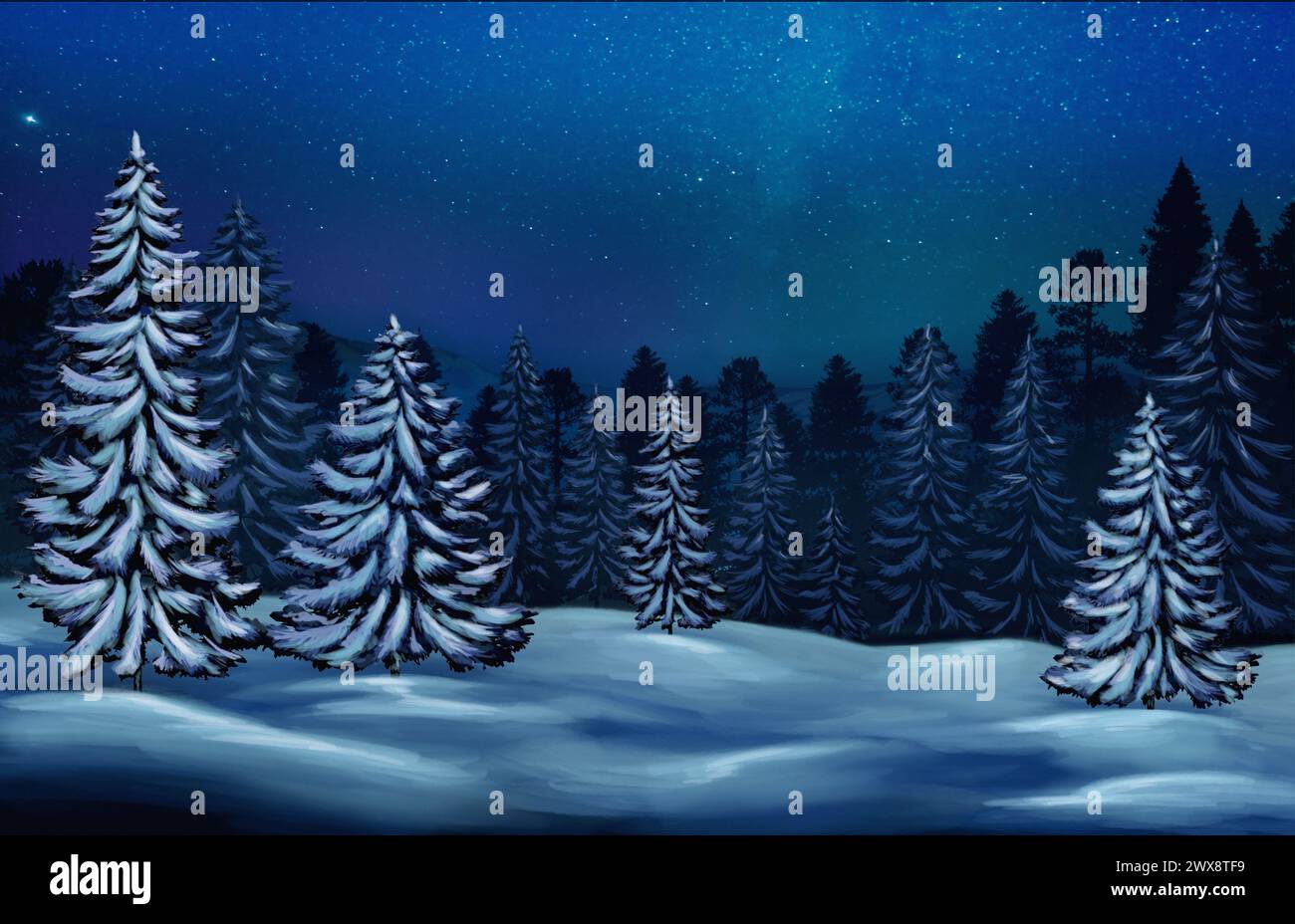 Trees covered with snow in forest under starry night sky in winter Stock Photo