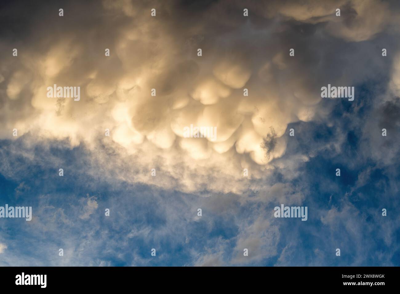 The image displays a dramatic skyscape filled with mammatus clouds ...