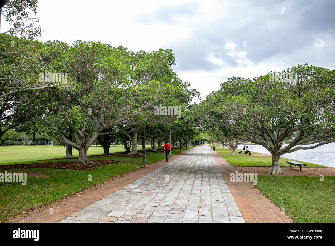 Glebe Annandale bicentennial park, part of the Glebe foreshore walk and links to Federal, Blackwattle Bay and Jubilee Parks in Sydney inner west, 2024 Stock Photo