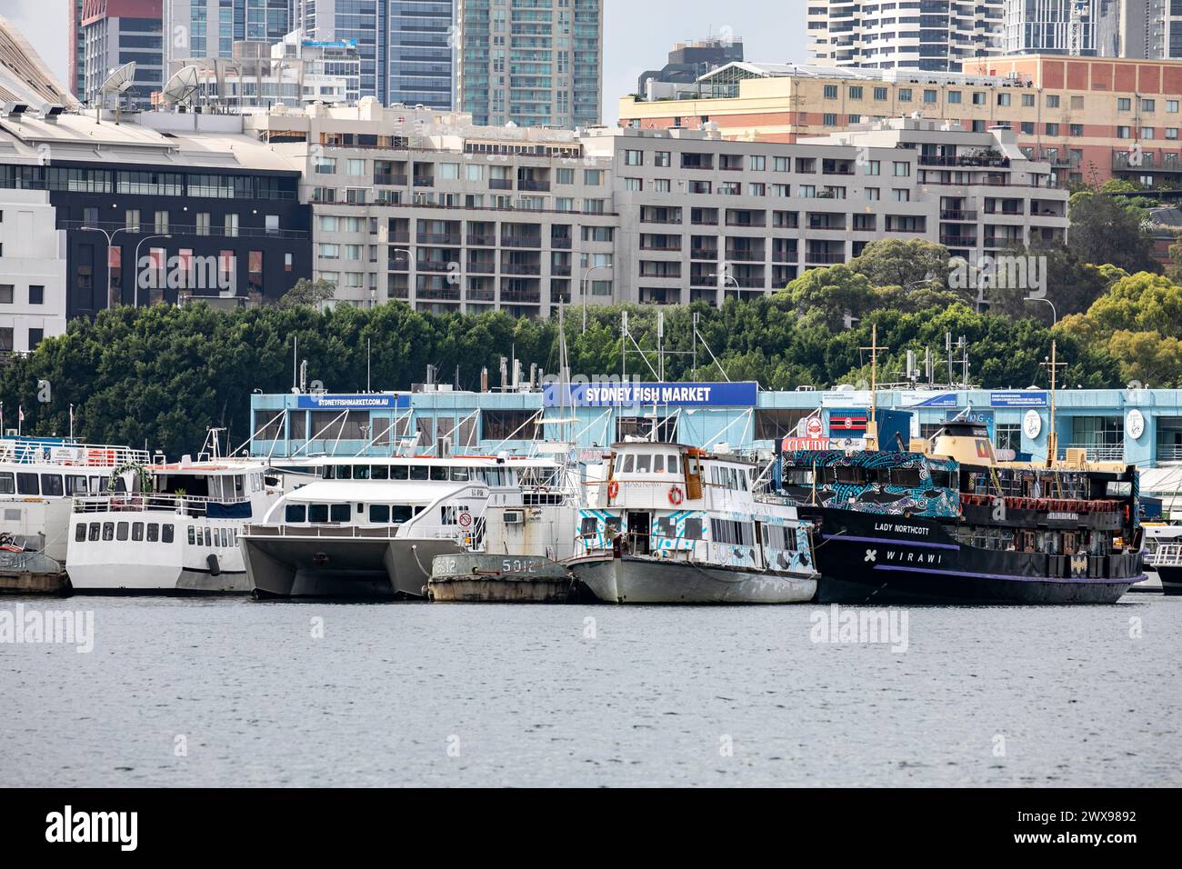 Sydney fish market in Pyrmont, with Wirawi Lady Northcott ferry moored ...