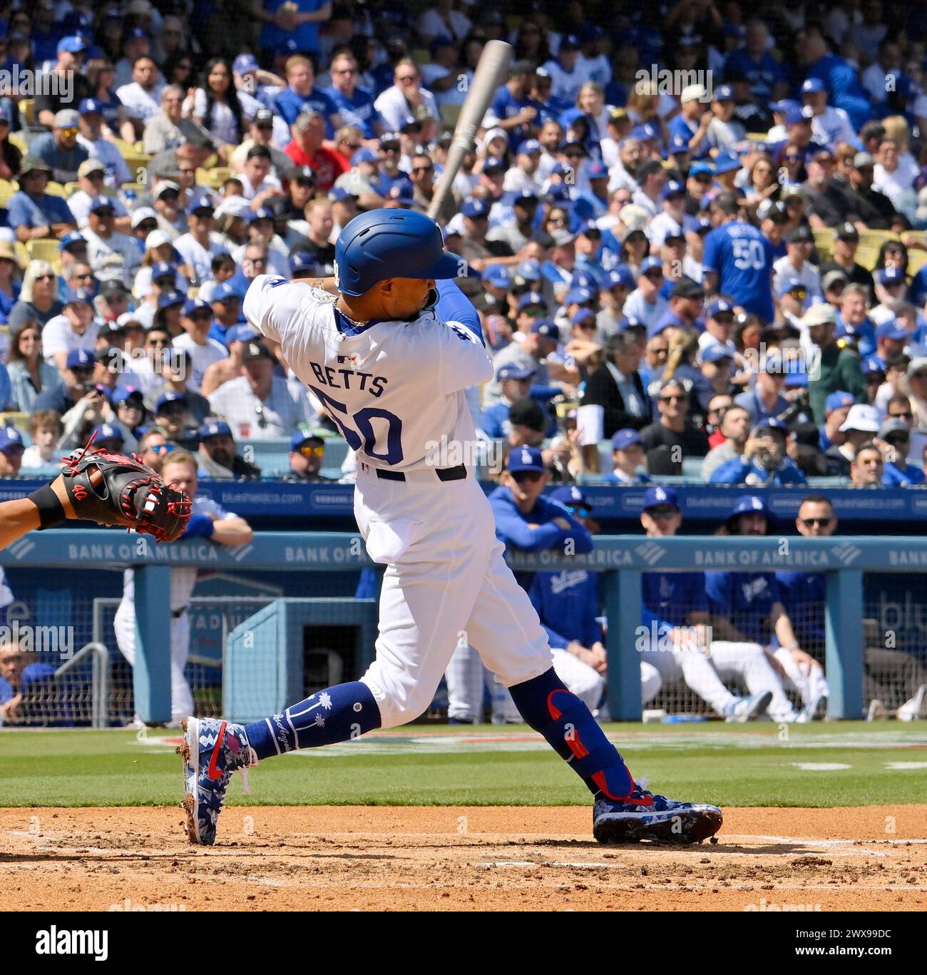 Miles Mikolas: First Pitch – The Unexpected Hero? - imong2w