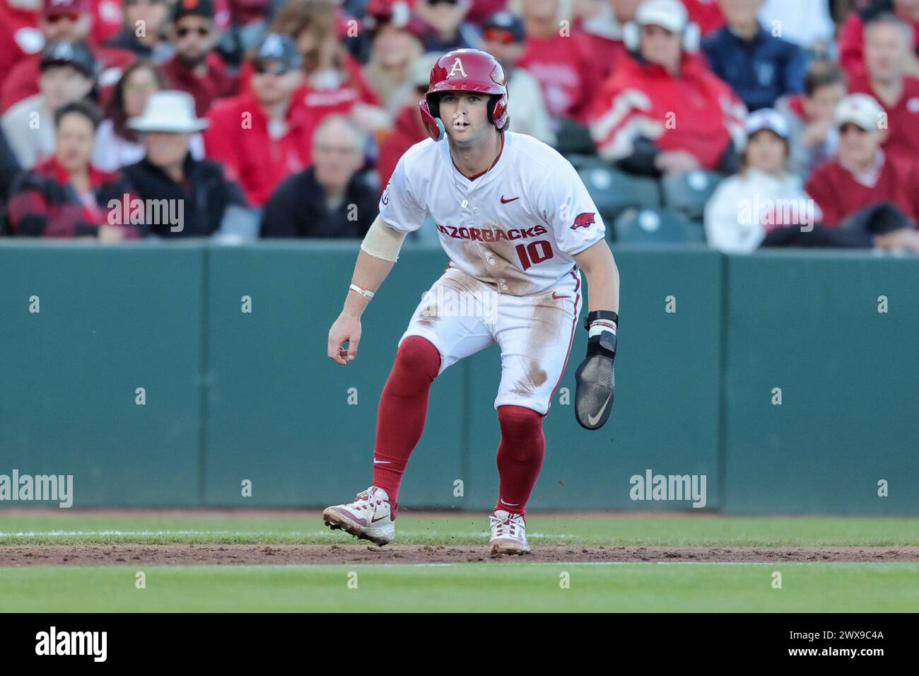 March 28, 2024: Razorback base runner Peyton Stovall #10 works his way down the third base line. Arkansas defeated LSU 7-4 in Fayetteville, AR. Richey Miller/CSM Stock Photo