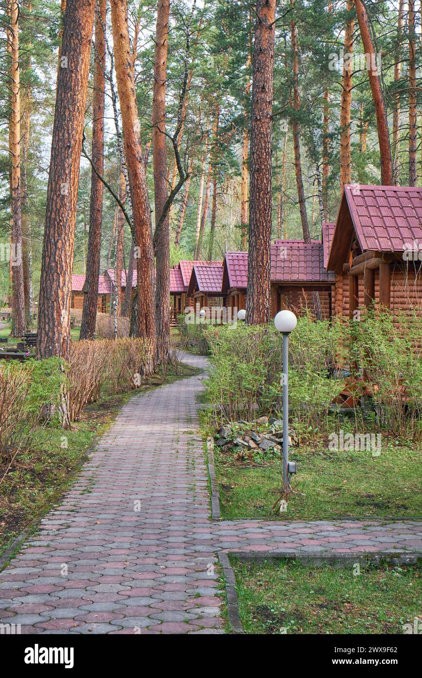 Tourist camping in Altai pine forest. Wooden houses - bungalows along a forest path with lanterns. Recreational tourist area. Stock Photo