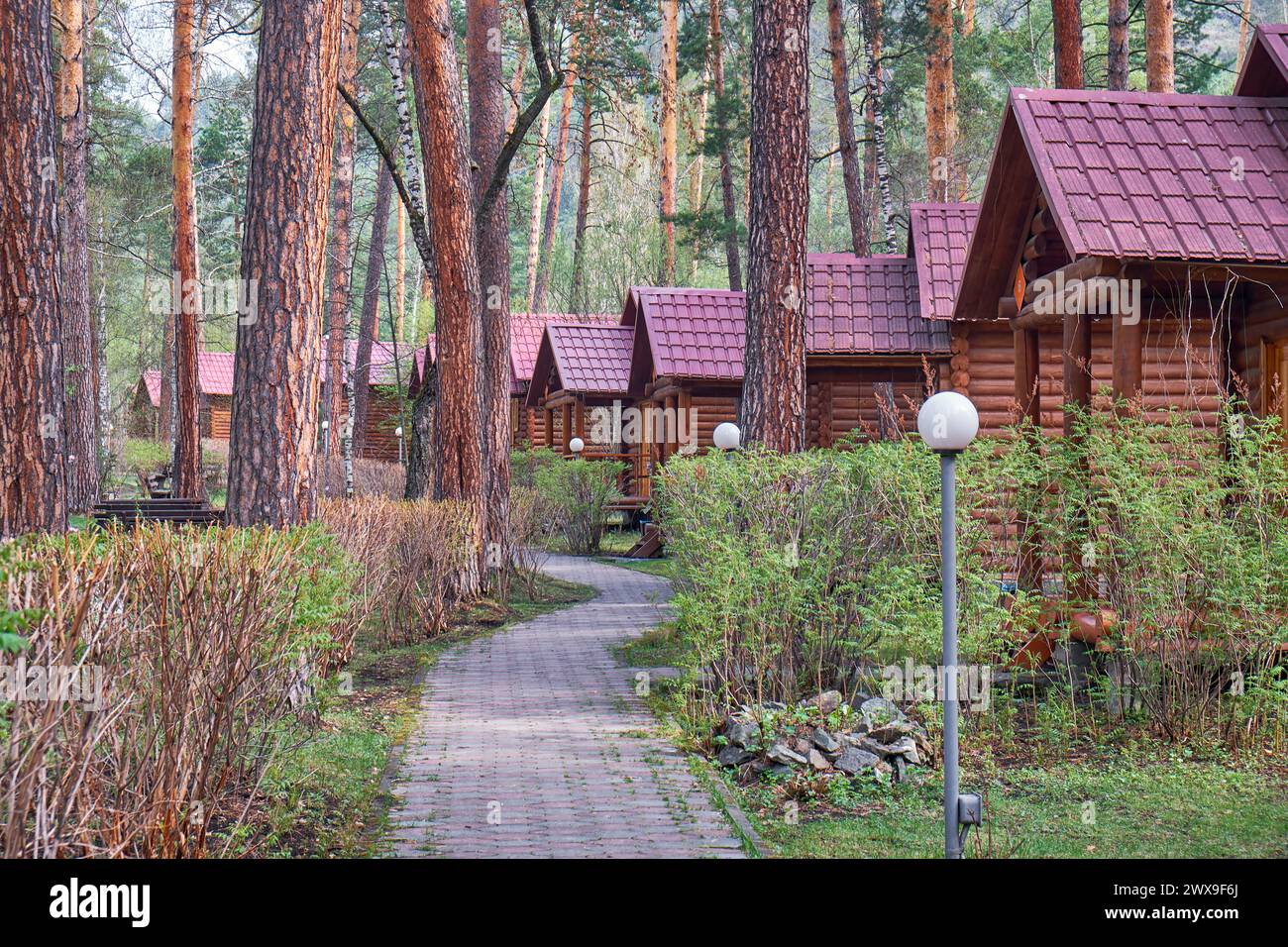 Tourist camping in Altai pine forest. Wooden houses - bungalows along a forest path with lanterns. Recreational tourist area. Stock Photo