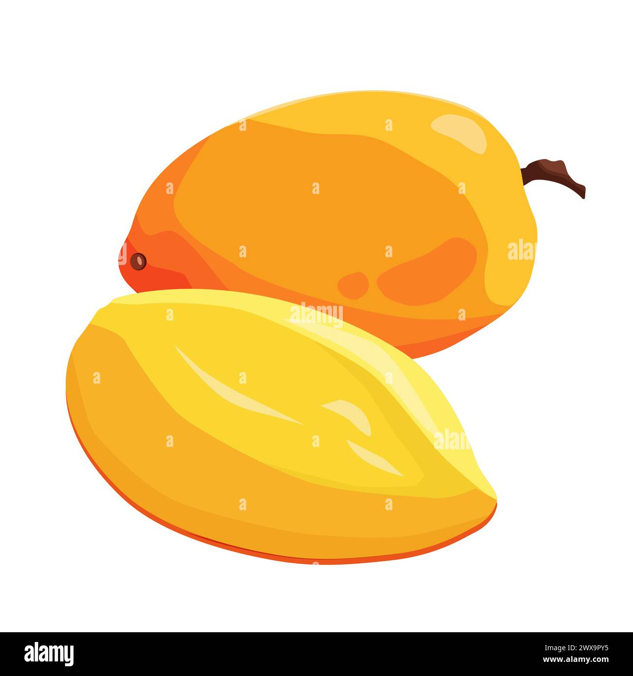 Juicy and healthy yellow red mango with slices isolated on white background. Vector fruit