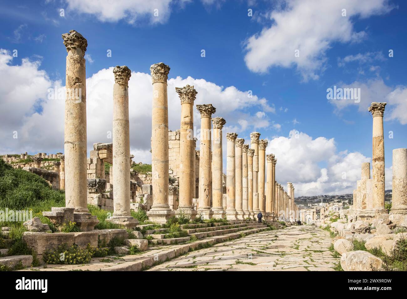 columns along the cardo maximus in the greco roman ruins of jerash in jordan Stock Photo
