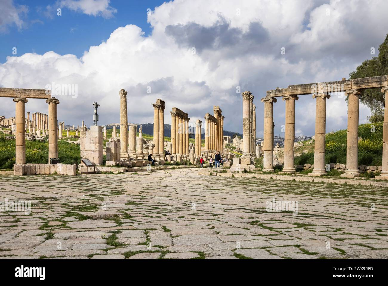 columns along the cardo maximus in the greco roman ruins of jerash in jordan Stock Photo
