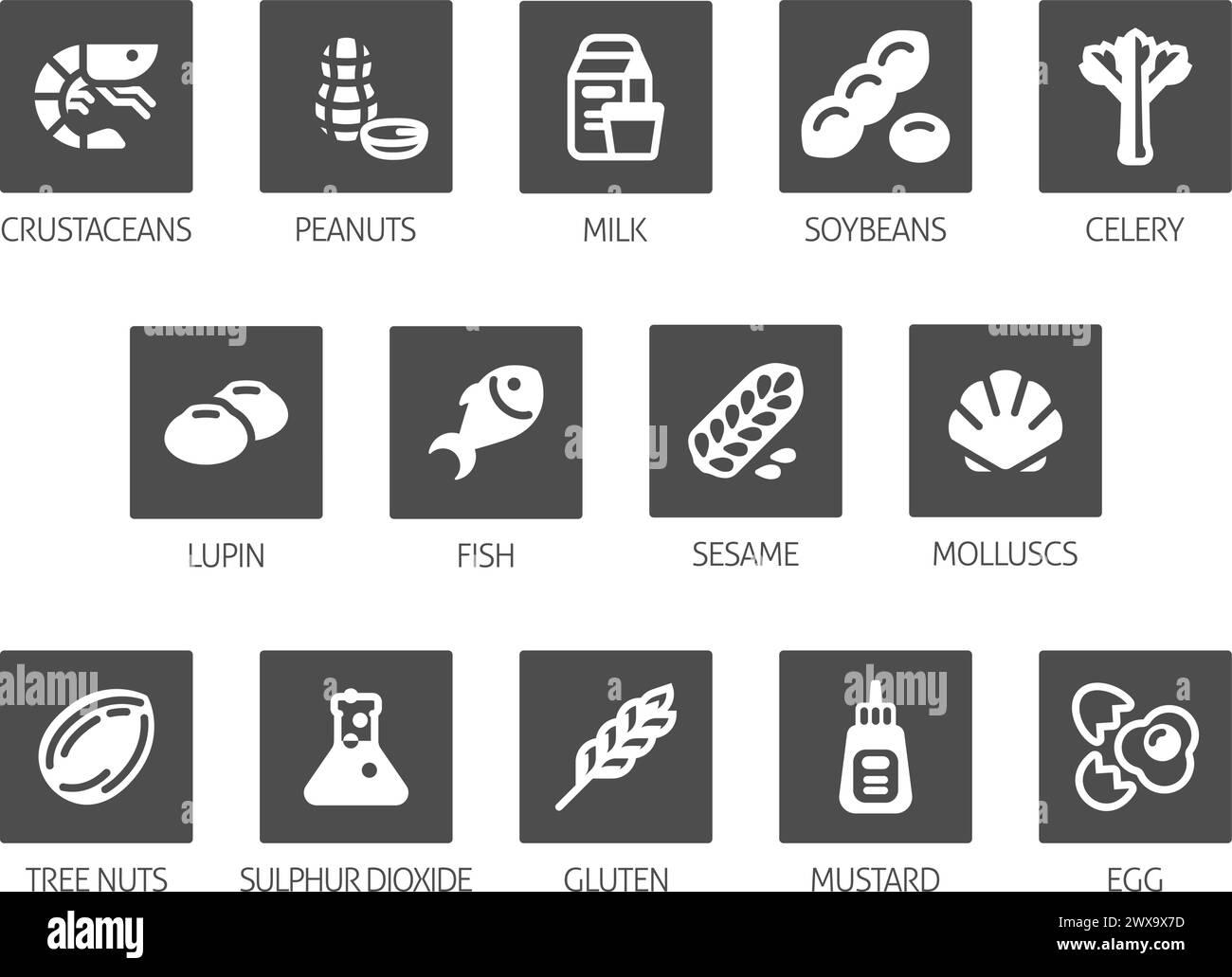 Allergen Food Major Allergy Icons Stock Vector