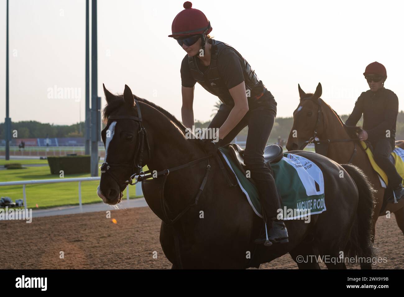 Meydan Racecourse, Dubai, UAE, Friday 29th March 2024; Sheema Classic contender Auguste Rodin and their rider take part in trackwork at Meydan Racecourse, ahead of the Dubai World Cup meeting on Saturday 30th March 2024. Credit JTW Equine Images / Alamy Live News Stock Photo