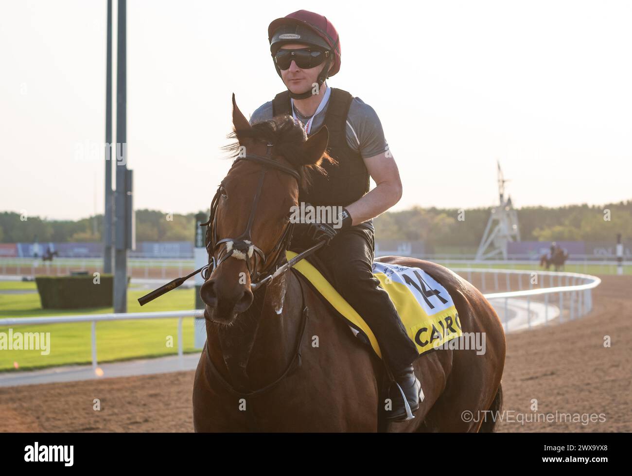 Meydan Racecourse, Dubai, UAE, Friday 29th March 2024; Dubai Turf contender Cairo and their rider take part in trackwork at Meydan Racecourse, ahead of the Dubai World Cup meeting on Saturday 30th March 2024. Credit JTW Equine Images / Alamy Live News Stock Photo