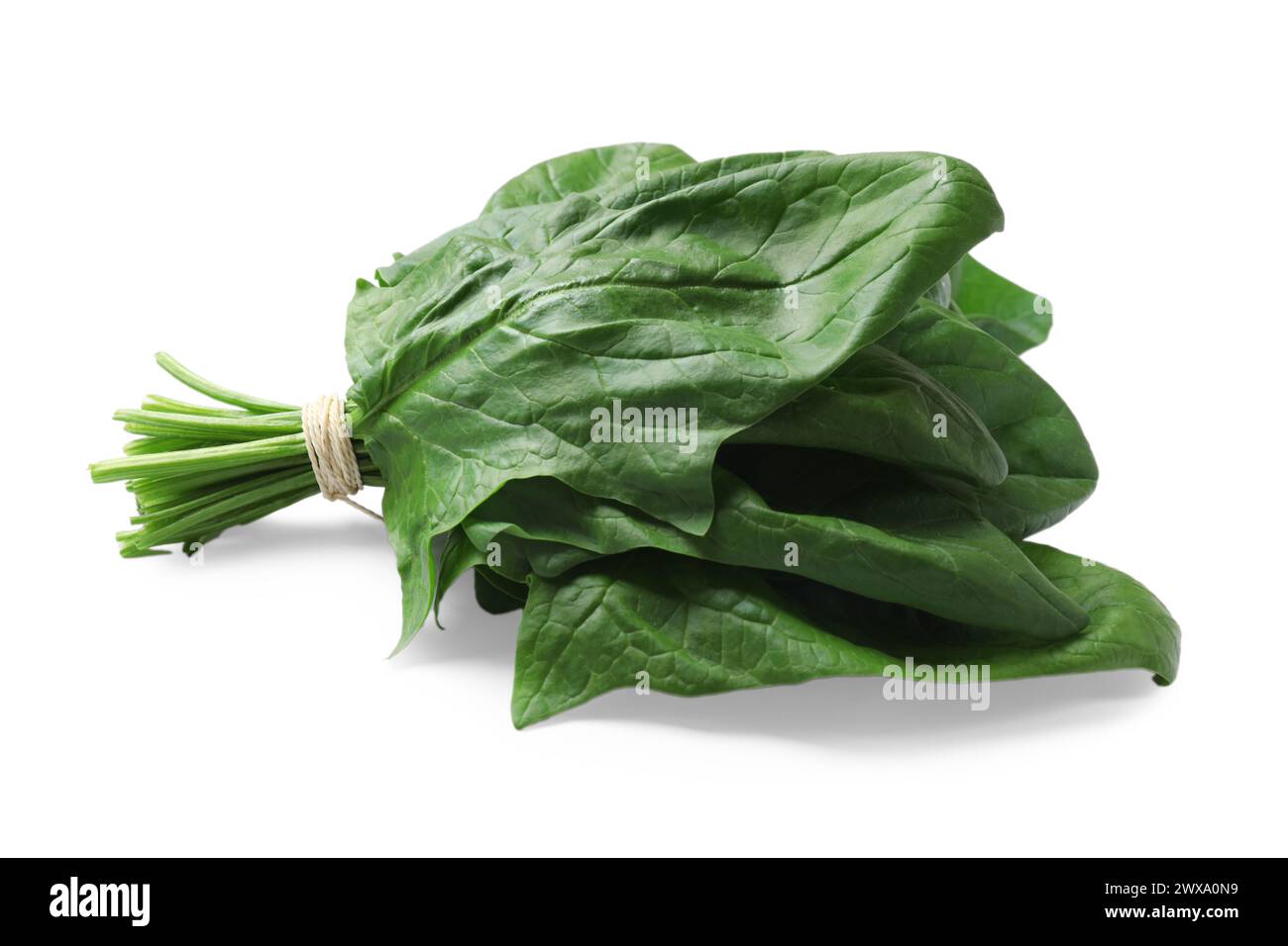 Bunch of fresh spinach leaves isolated on white Stock Photo - Alamy
