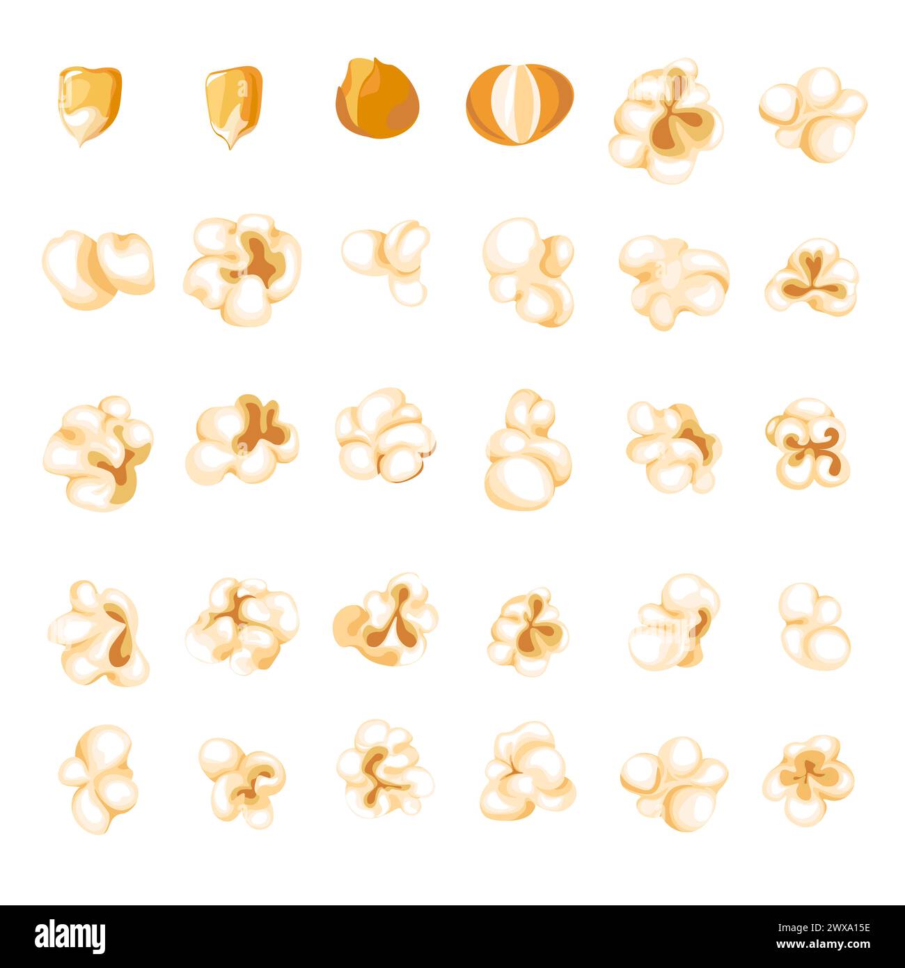 Popcorn kernel types and process of popping vector Stock Vector Image ...