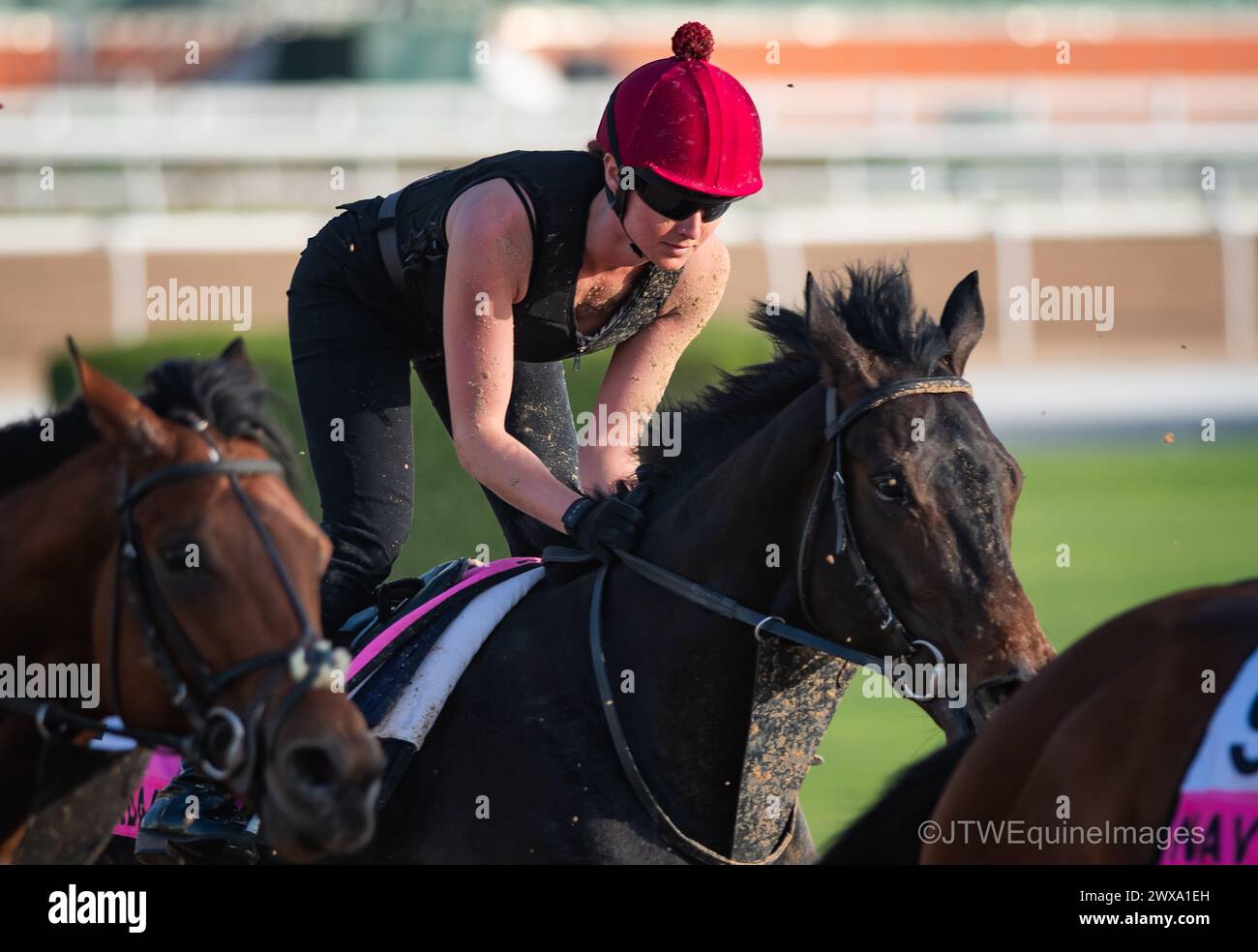 Adams henry training hires stock photography and images Alamy