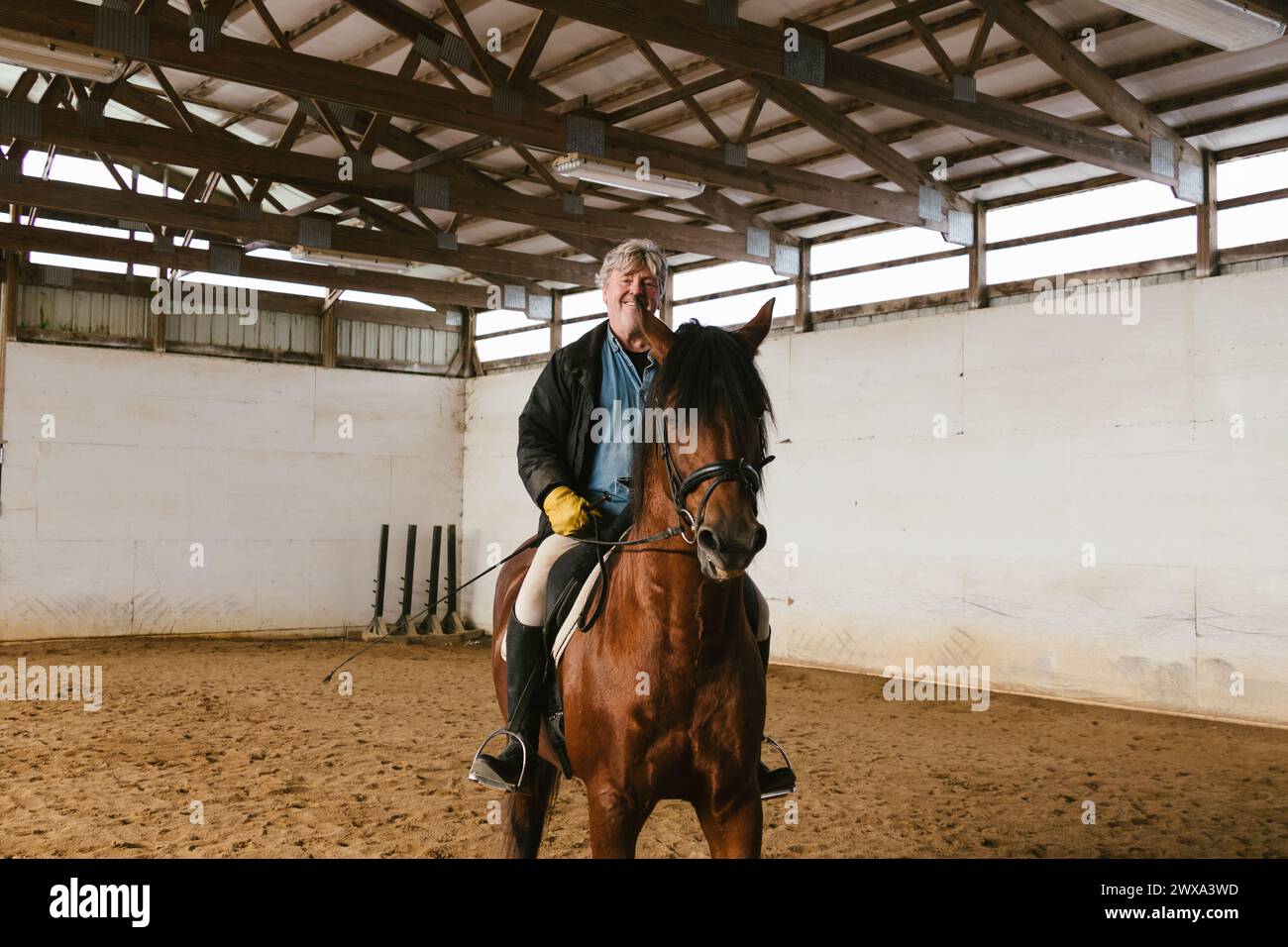 Older man with gray hair riding a horse with a saddle indoor arena Stock Photo