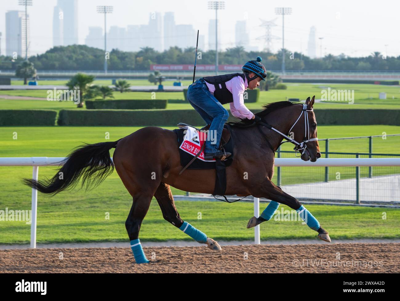 Meydan Races Saudi cup horse race hi-res stock photography and images - Alamy