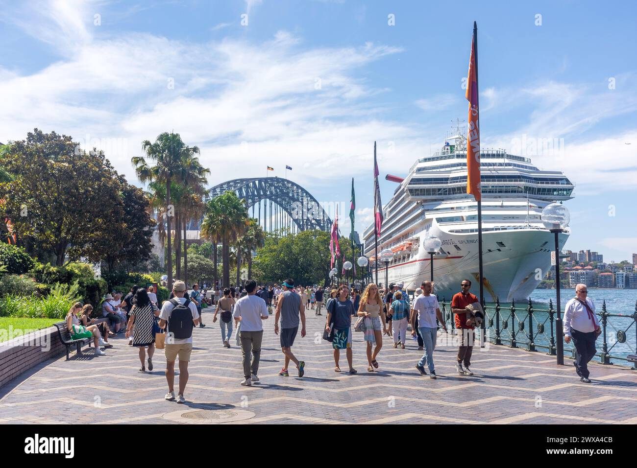 Carnival Splendor cruise ship docked by Sydney Harbour  Bridge, Circular Quay West, Sydney, New South Wales, Australia Stock Photo