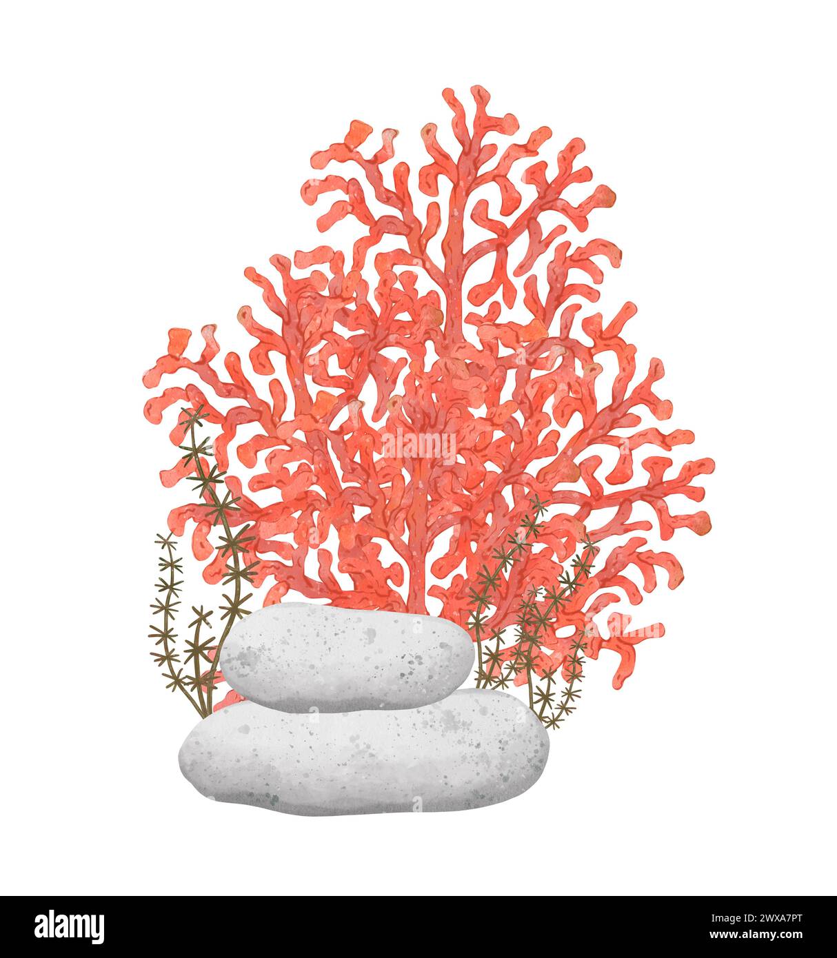 Underwater world, watercolor composition with stones and red corals. Aquarium decor. Natural sea composition. Hand drawn illustration in sketch style. Stock Photo