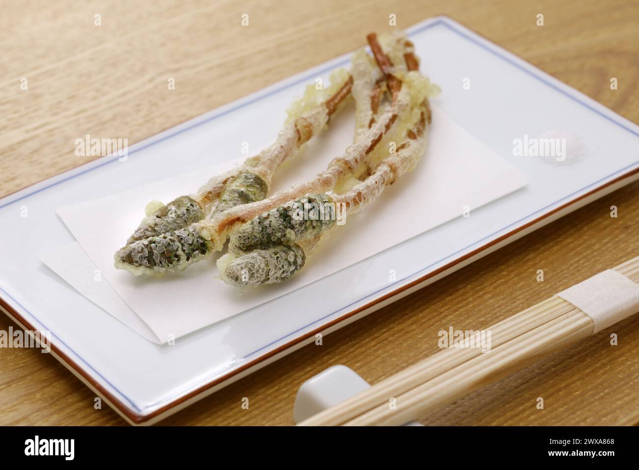 Tsukushi ( fertile shoots of field horsetail ) tempura, Japanese wild vegetable dish Stock Photo