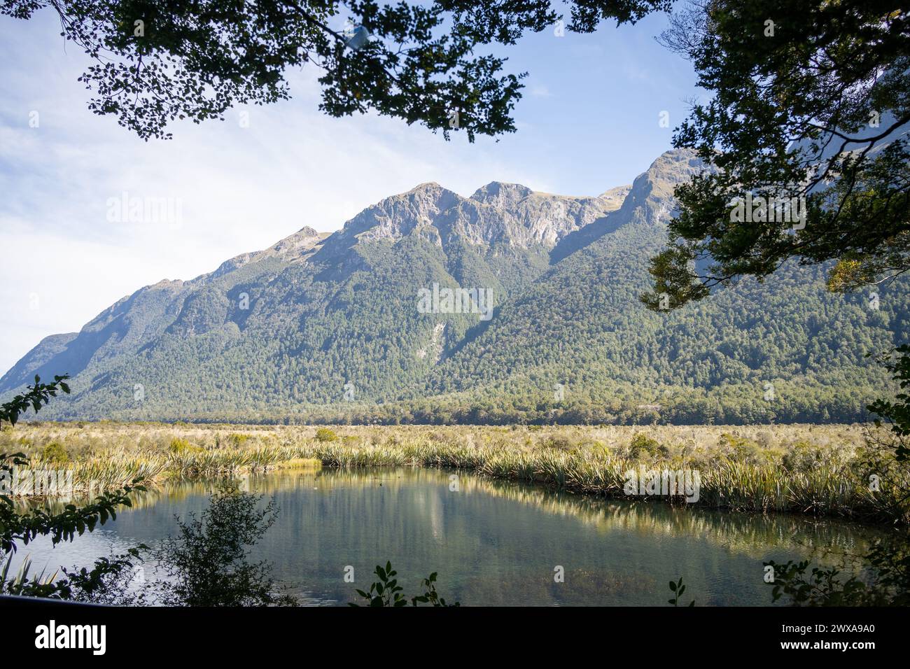 Mountain range with lake in foreground framed by tree branches, Fiordland, New Zealand. Stock Photo