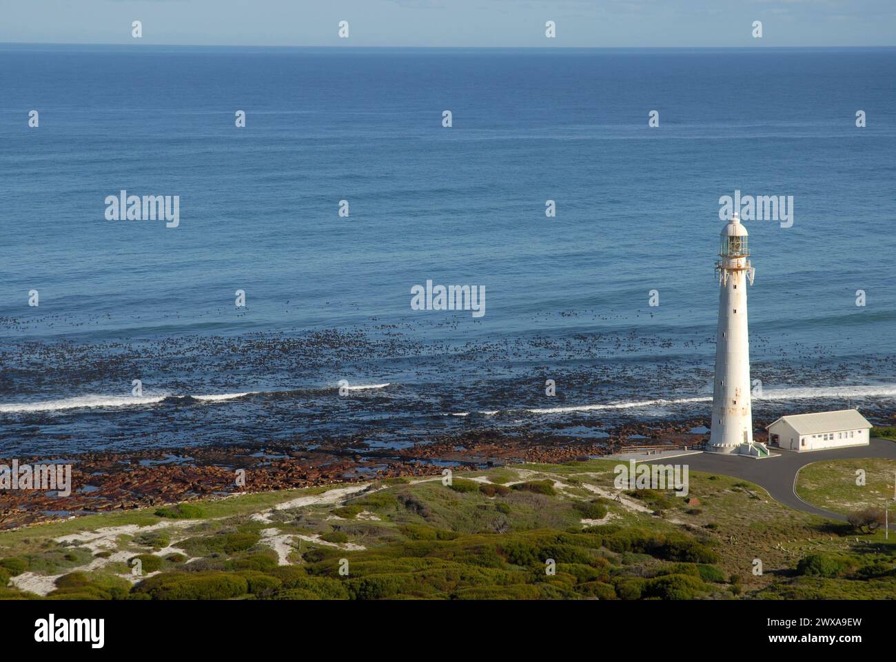 Slangkop Lighthouse and Western Cape coast with  view over sea to horizon, Kommetjie,  Cape Town, South Africa Stock Photo