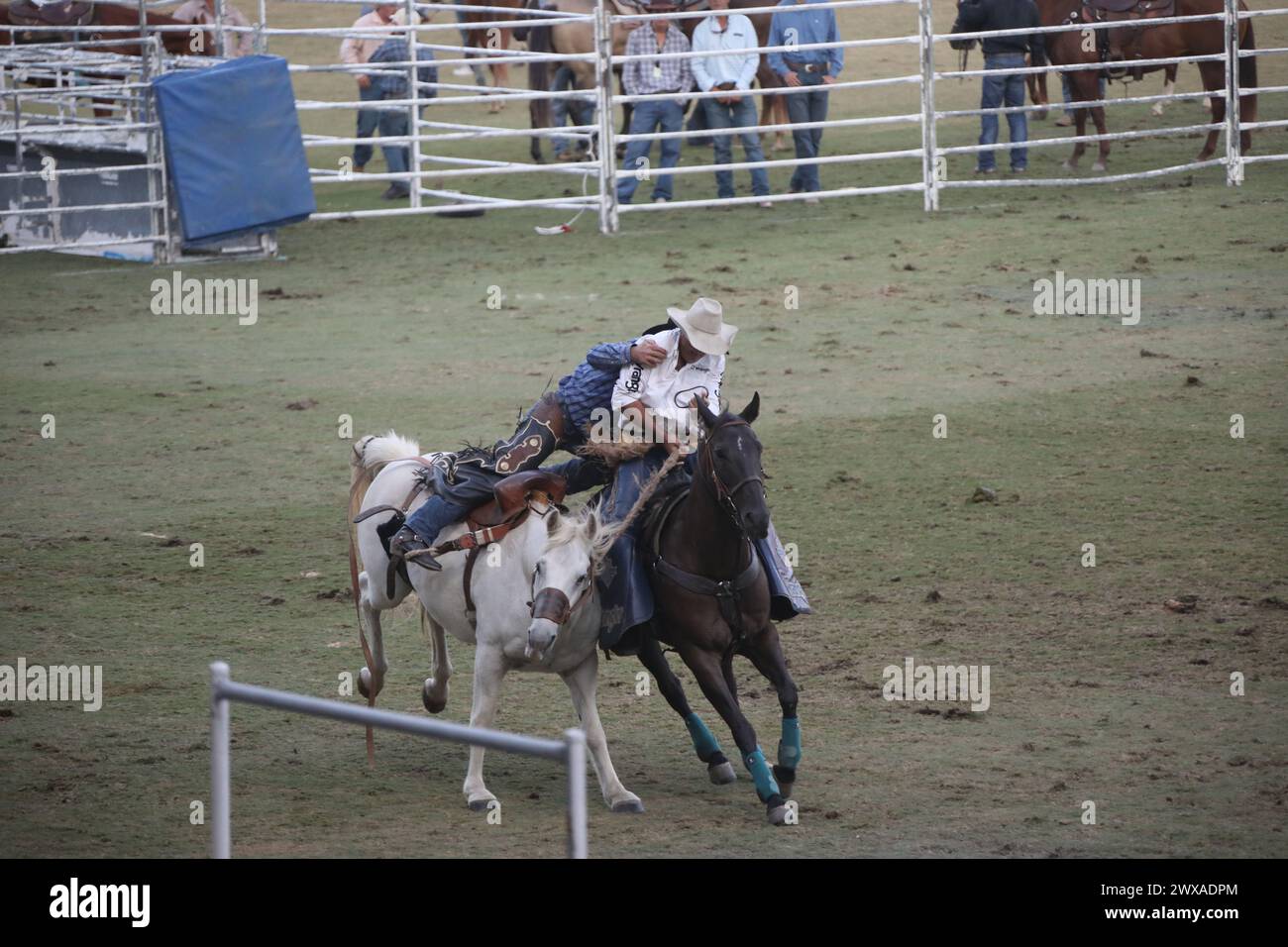 Sydney, Australia. Friday, 29th March 2025. The Sydney Royal Easter