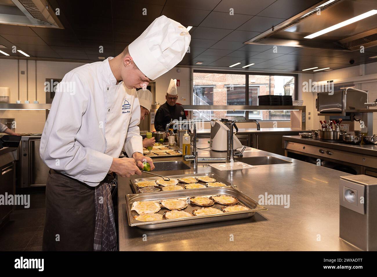 Chef In Training A chef in training pictured preparing food during a royal visit to the ...