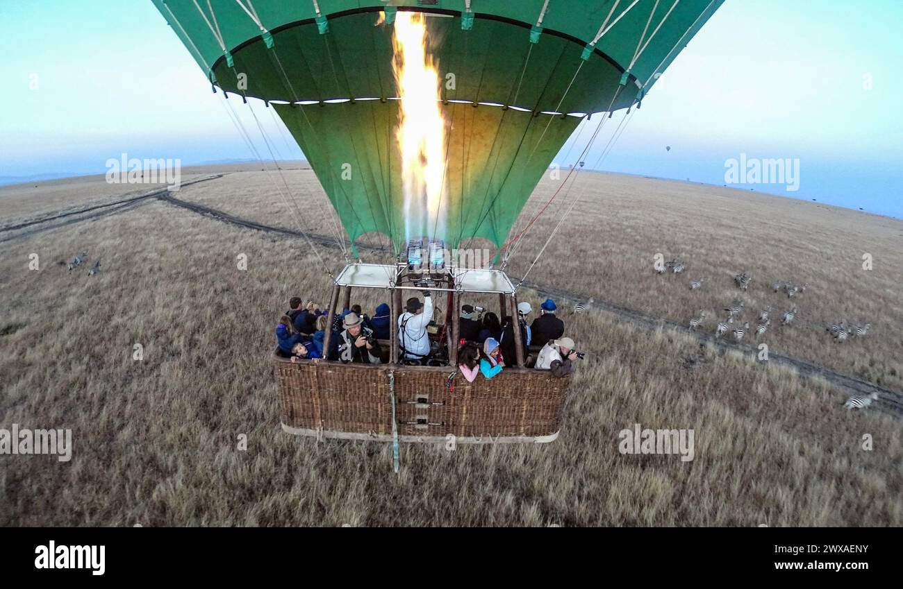 Hot-air balloon over the savannah in Maasai Mara, Kenya. Stock Photo