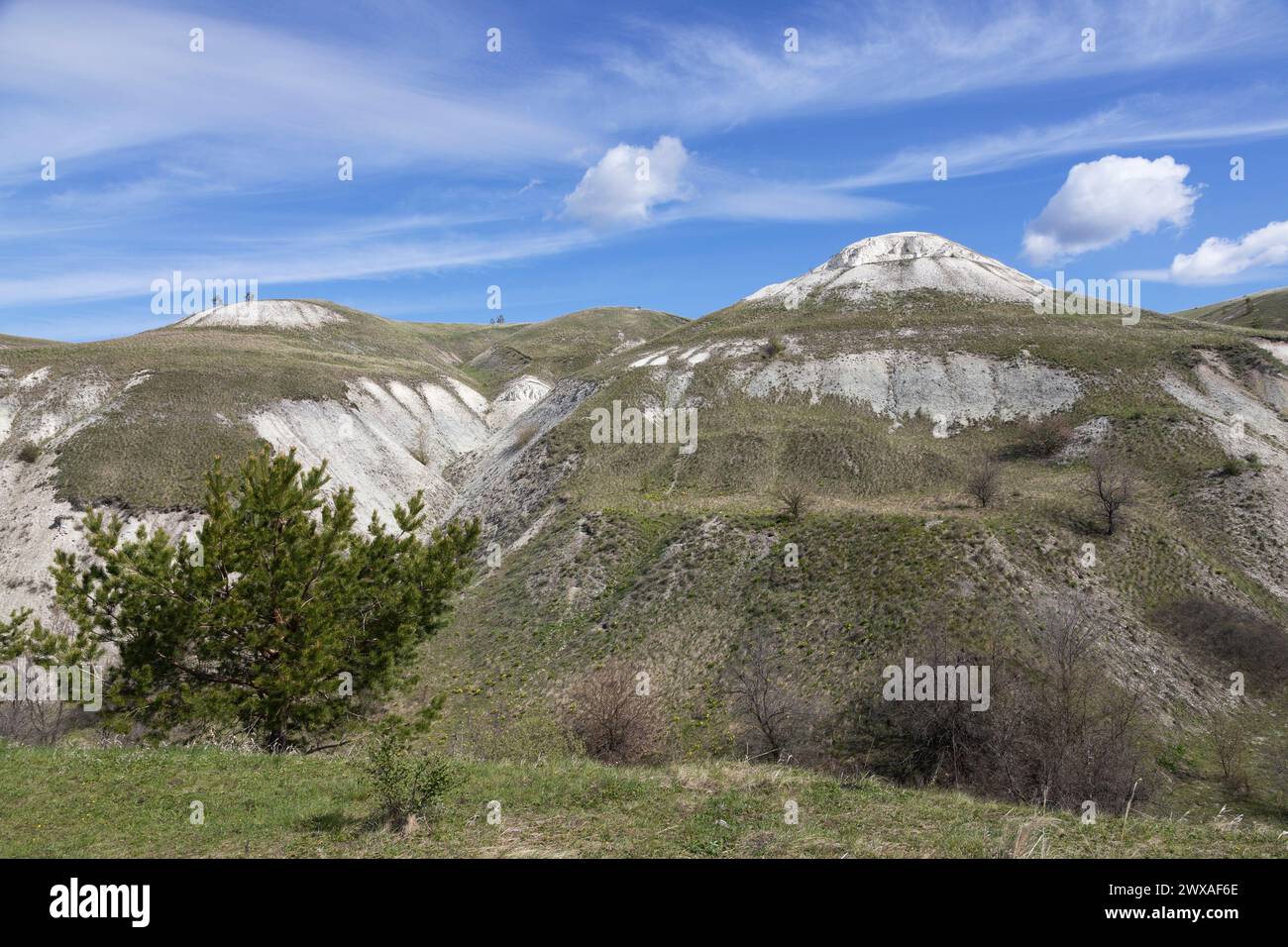 Chalk hills in Ulyanovsk region, Russia. Yellow flowers in the foreground Stock Photo