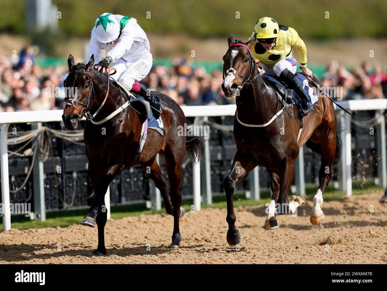 Cuban Tiger ridden by Clifford Lee (right) wins the BetMGM Burradon ...