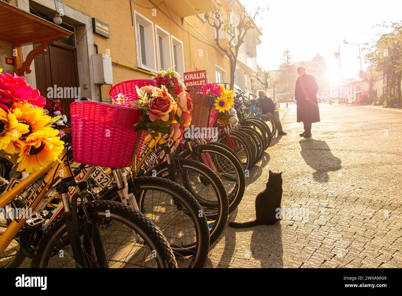 Bicycles, one of the main ways of travelling around Büyükada, one of the Princes Islands near Istanbul, Turkey Stock Photo