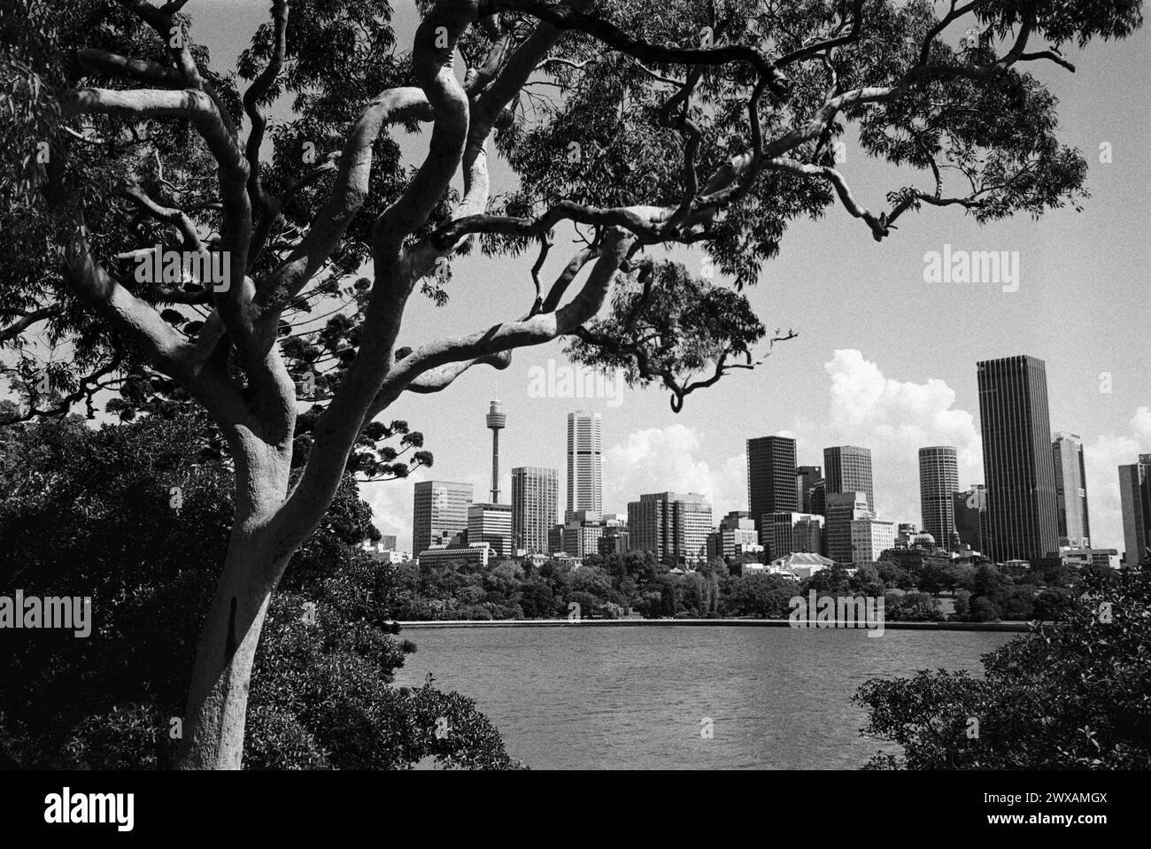 moderniy-hi-res-stock-photography-and-images-alamy