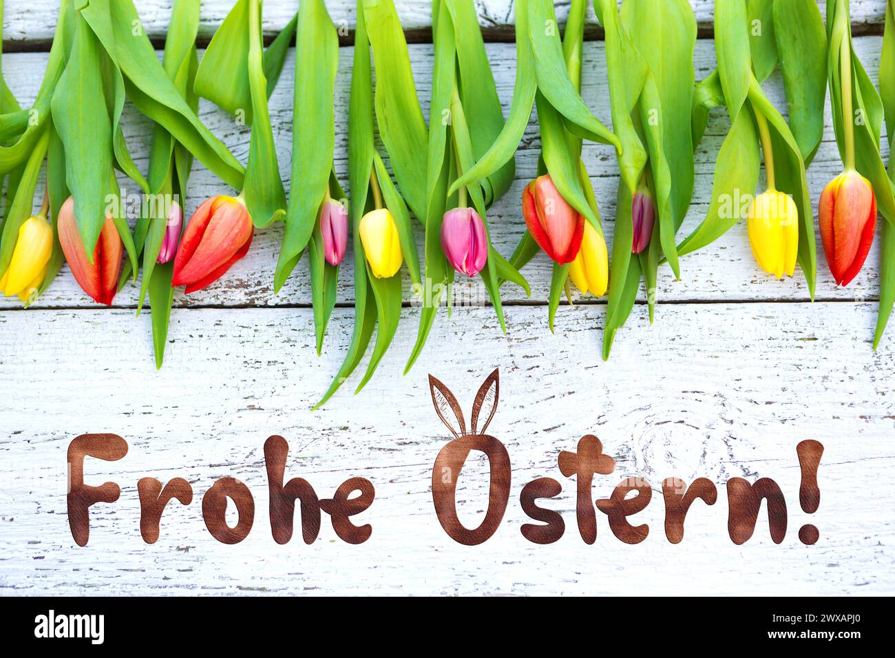 29 March 2024: Colorful tulips on rustic wood with the greeting: Happy Easter PHOTOMONTAGE *** Bunte Tulpen auf rustikalem Holz mit dem Gruß: Frohe Ostern FOTOMONTAGE Stock Photo