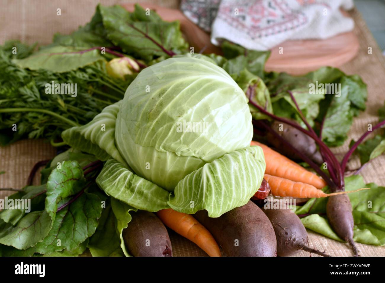 In The Close up Picture Ripe Fruits Of Vegetables Cabbage Beets And In The Close up Picture Ripe Fruits Of Vegetables Cabbage Beets And