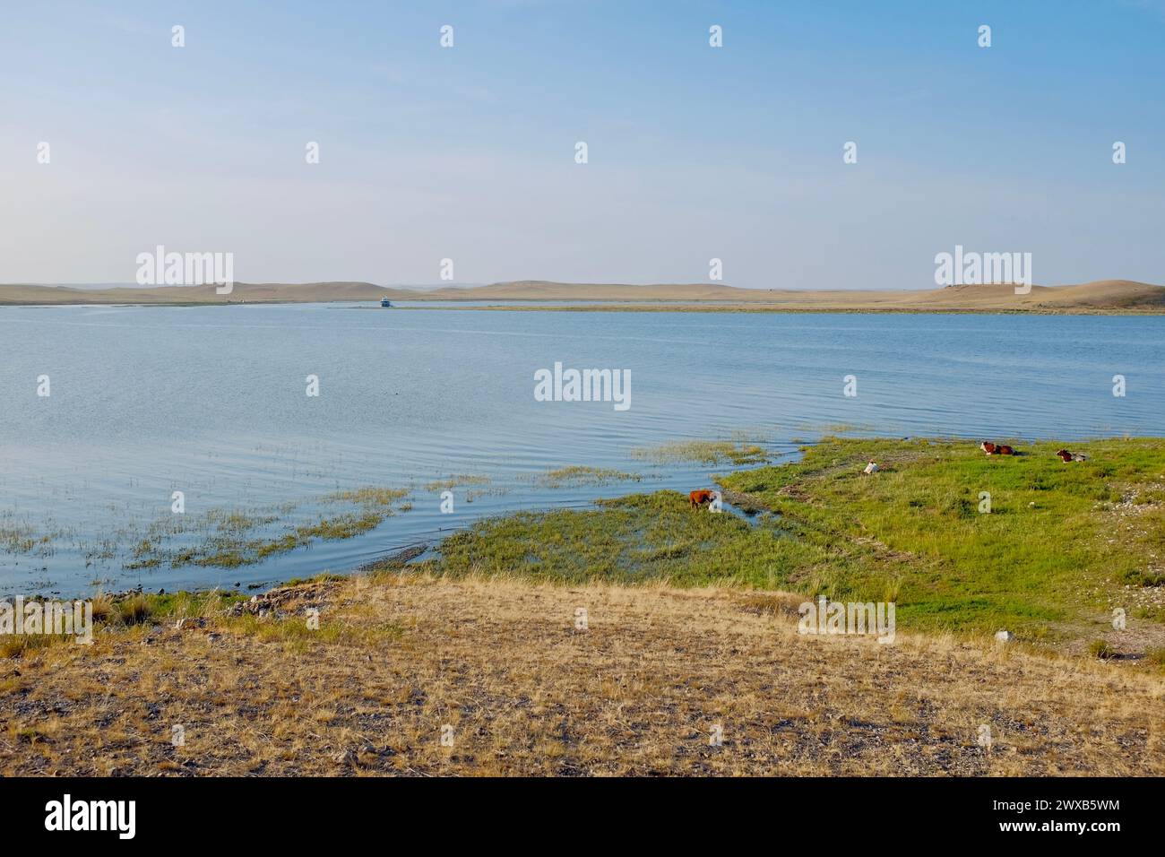 Open country field in Inner Mongolia, China. Stock Photo