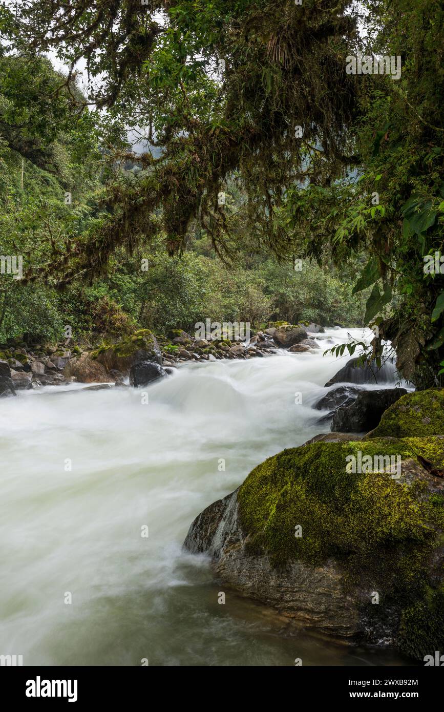 Papallacta river, Papallacta area, Ecuador Andes, Ecuador,South America Stock Photo