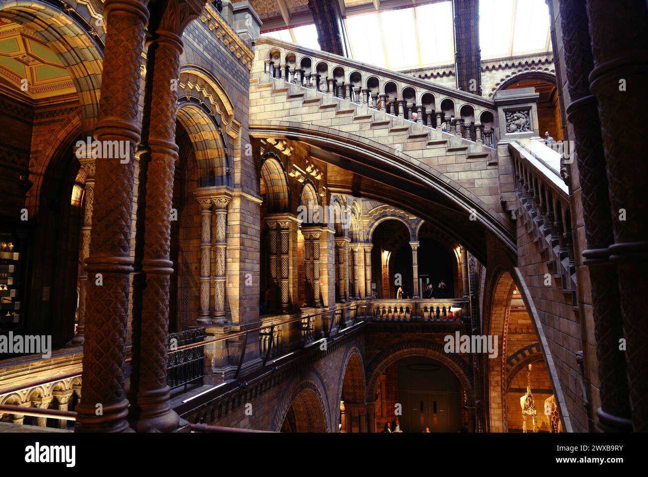 NATURAL HISTORY MUSEUM SUNDAY HOURS visual data 6