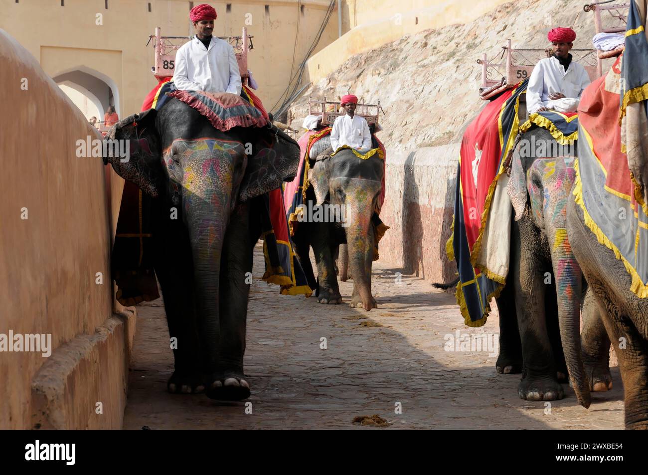 Fort of Amber or Amber Fort, Jaipur, elephant procession on the street, adorned with traditional decoration, Jaipur, Rajasthan, India Stock Photo