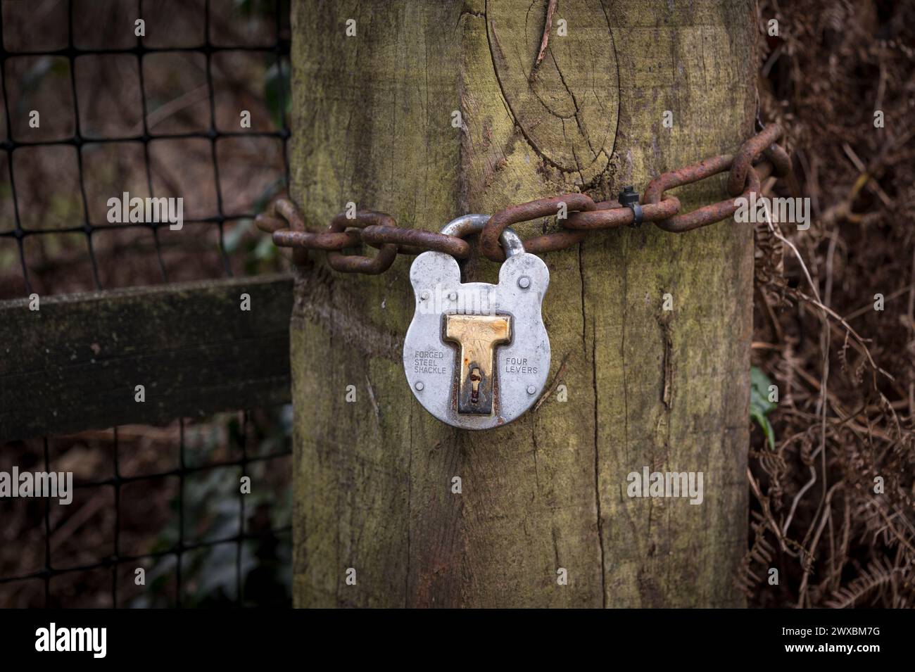 Padlock with rusty chain, outsdoors. Stock Photo