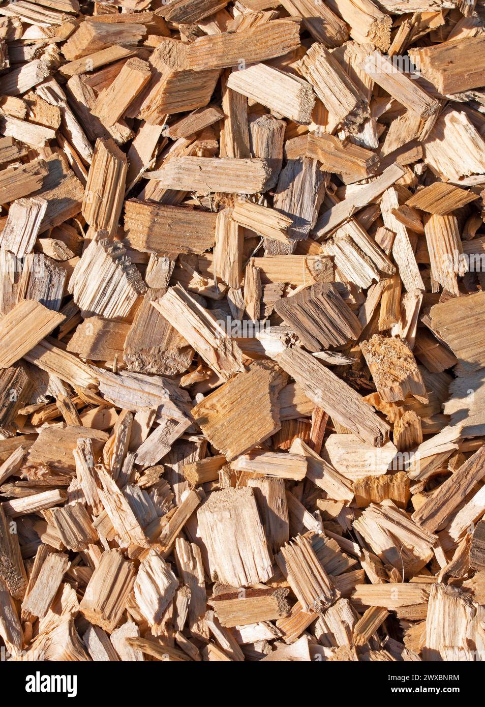 Wood chips in a close-up Stock Photo