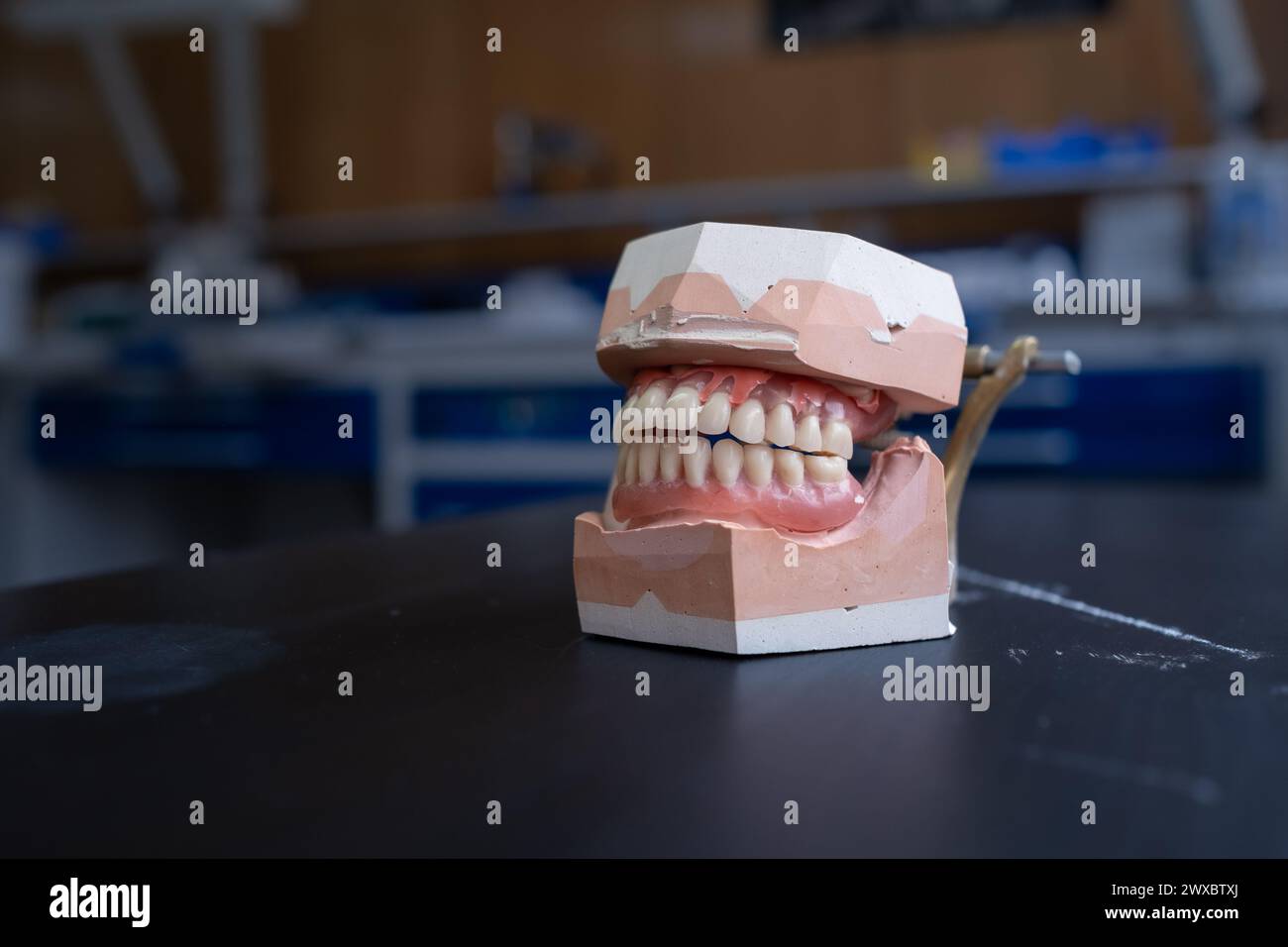 a denture model on a laboratory table with some working utensils. It is the upper and lower jaw. In the background you can see a laboratory Stock Photo