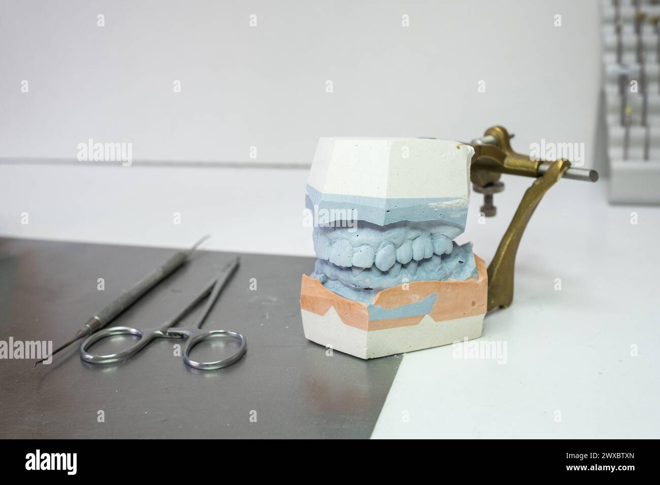 a denture model on a laboratory table with some working utensils. It is the upper and lower jaw. Stock Photo