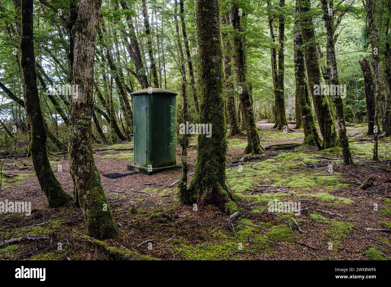 A public toilet for walkers on the Kepler Track, Te Anau, Southland, South Island, New Zealand Stock Photo