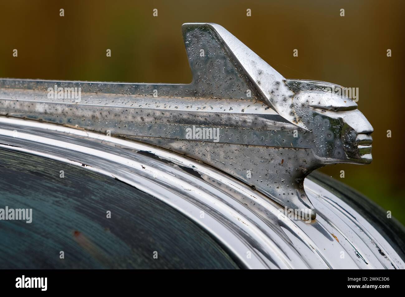 Pontiac Hood Emblem, Rusting Chrome, Circa 1952.  Pontiac Indian Chief. Stock Photo