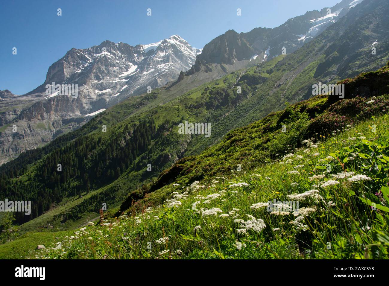 Wilde und urtümliche Berglandschaften im Hinteren Lauterbrunnental rund um die Schmadrihütte Stock Photo