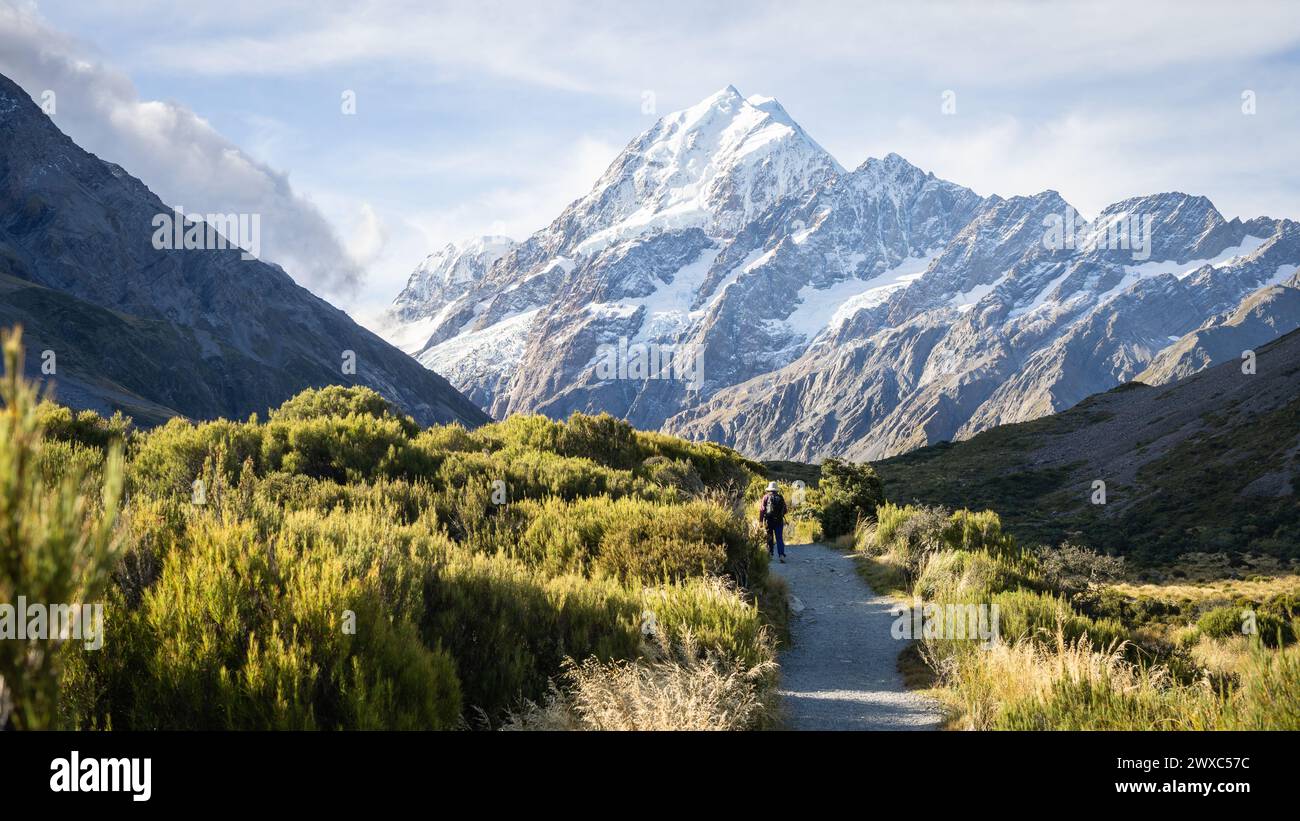 Tourist on the trail in beautiful alpine valley facing huge snowy mountain, Mt Cook, New Zealand. Stock Photo