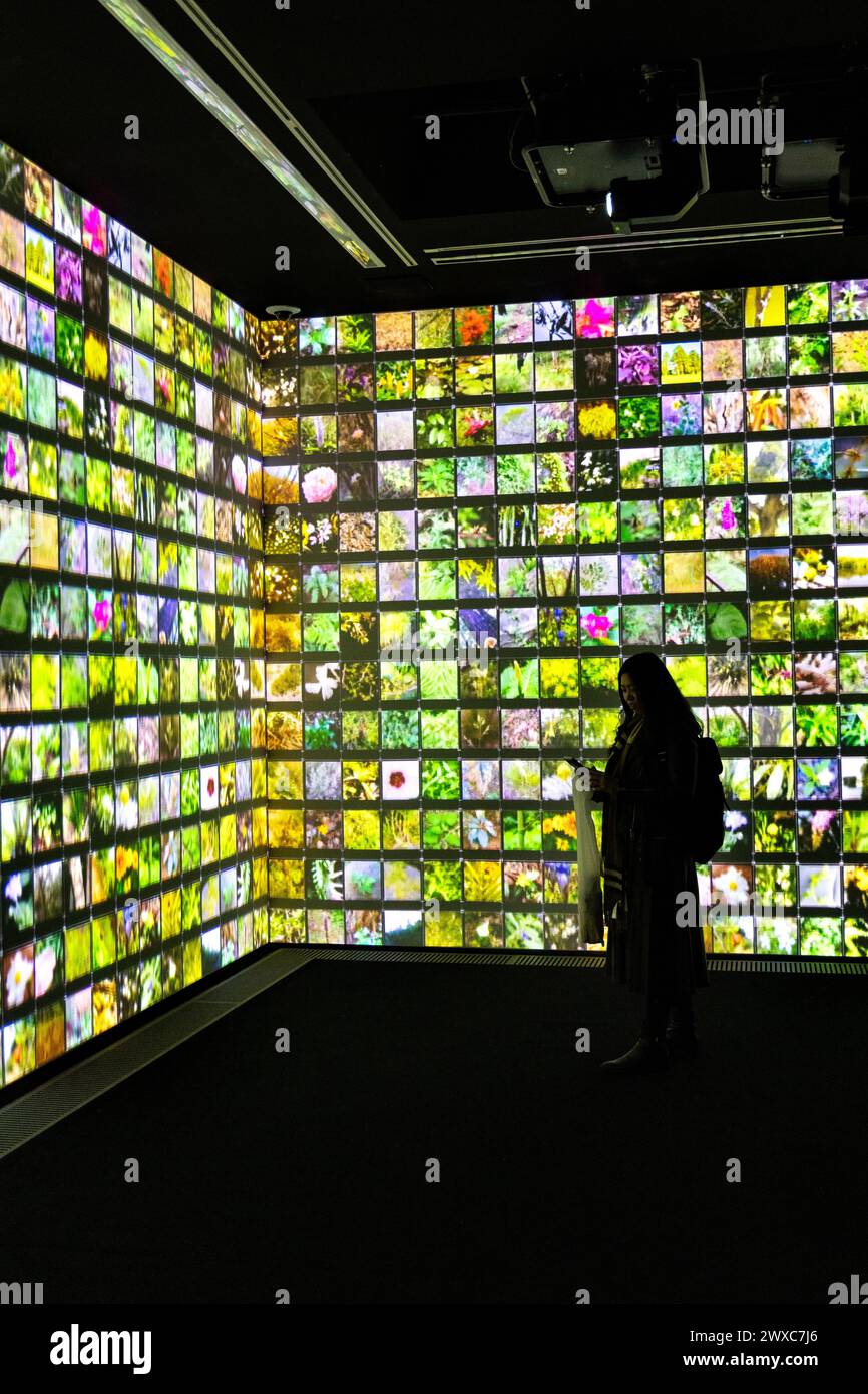 Refik Anadol 'Echoes of the Earth: Living Archive' (2024) AI generated digital exhibition, Serpentine North Gallery, London, England Stock Photo