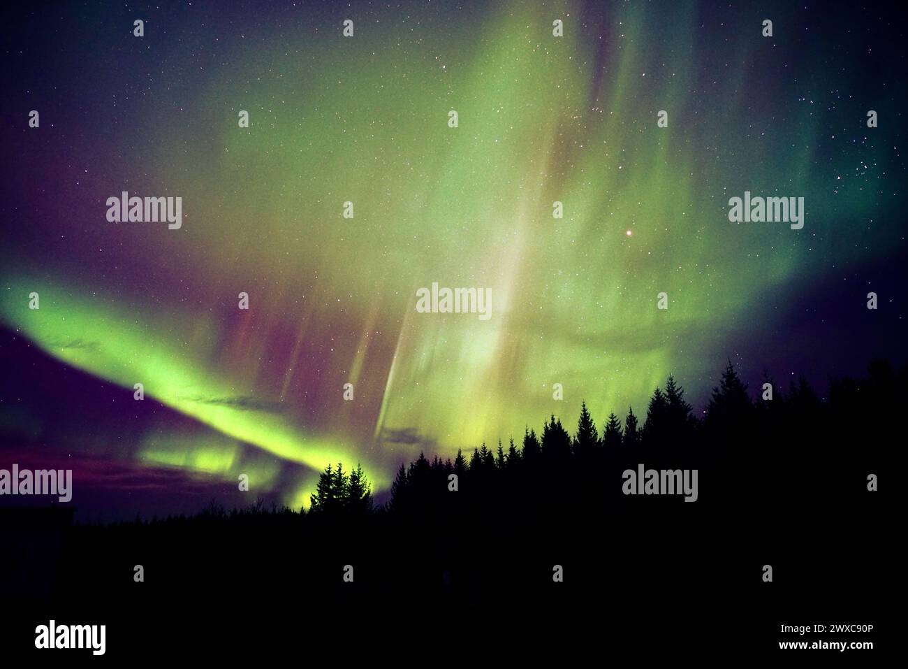 Coronal display hi-res stock photography and images - Alamy