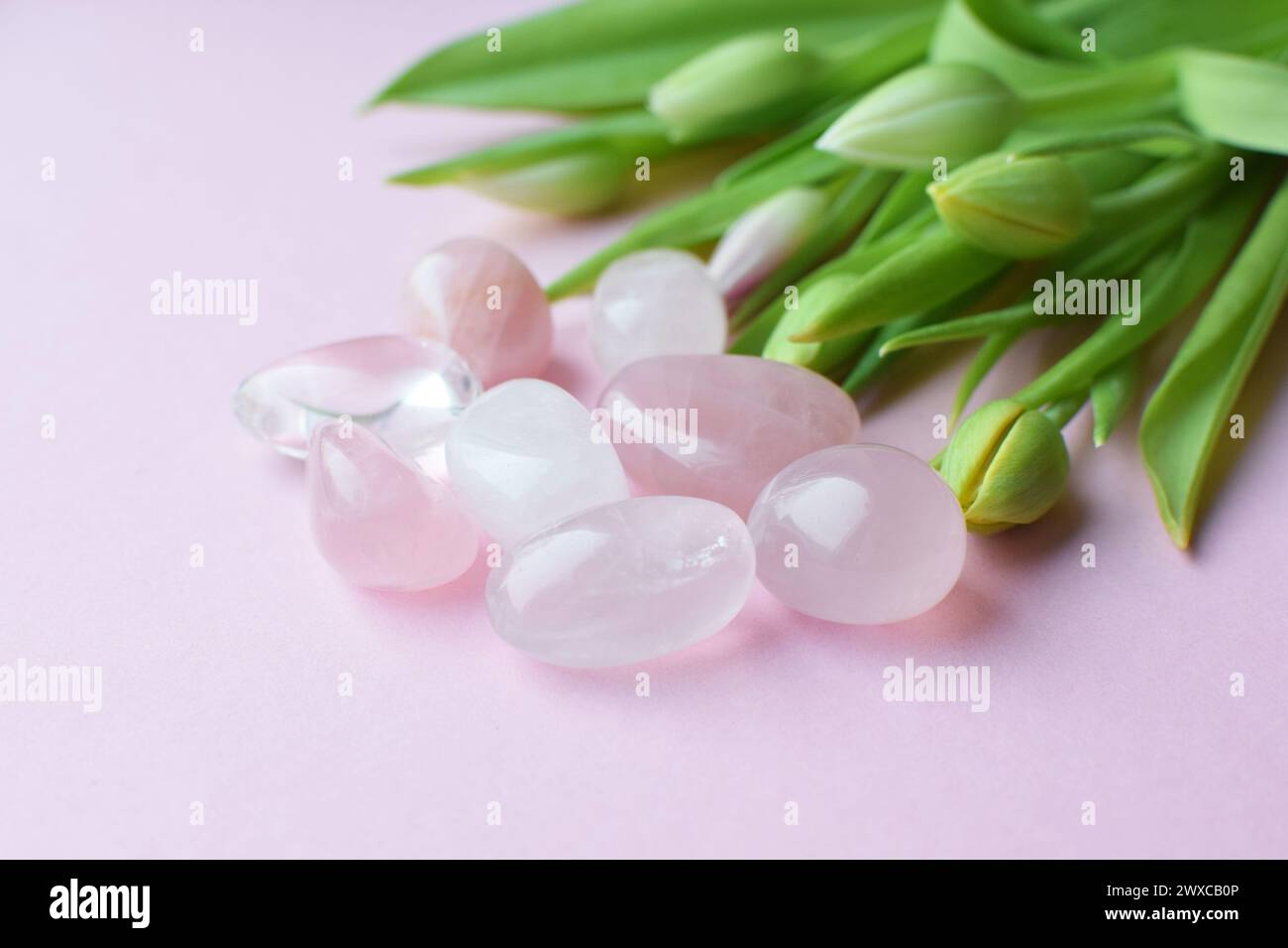 Rose quartz crystals and a bouquet of green tulip buds. Healing crystals, the magic of precious stones. Stock Photo